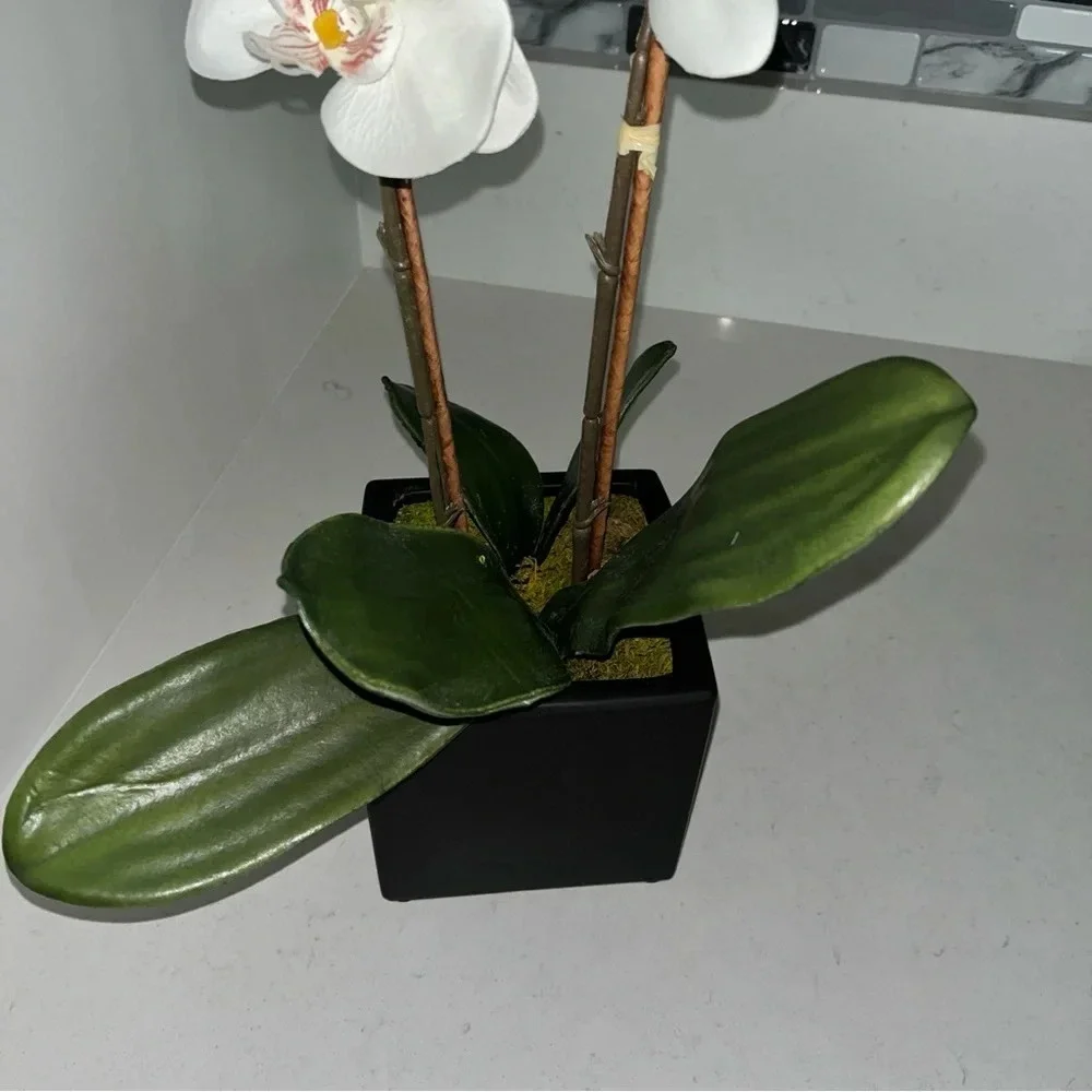 White‎ Faux Orchid Artificial Flowers with Vase Faux Plant Floral for Home Decor
